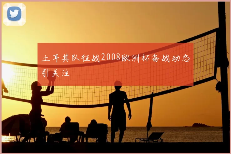 土耳其队征战2008欧洲杯备战动态引关注