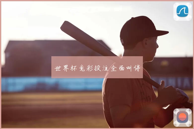 世界杯竞彩投注全面叫停