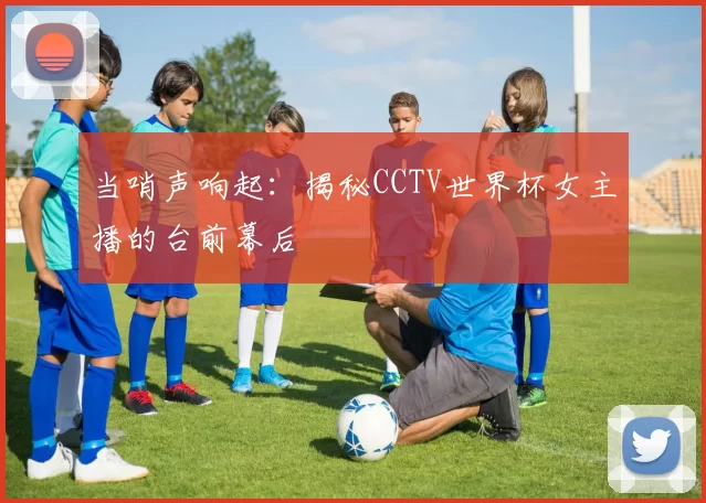 当哨声响起:揭秘CCTV世界杯女主播的台前幕后