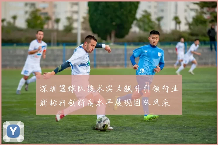 深圳篮球队技术实力飙升引领行业新标杆创新高水平展现团队风采