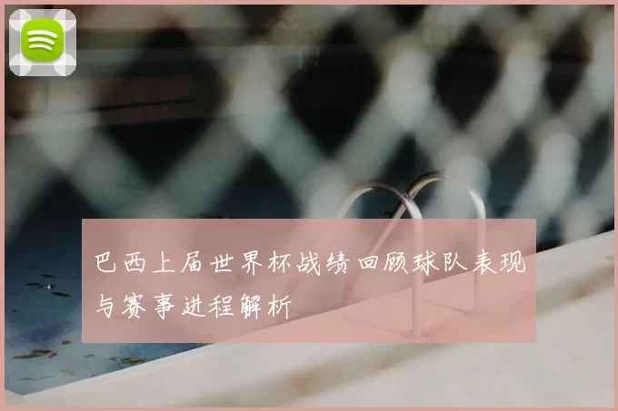 巴西上届世界杯战绩回顾球队表现与赛事进程解析