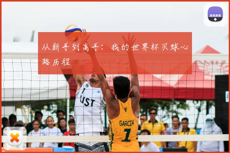 从新手到高手:我的世界杯买球心路历程