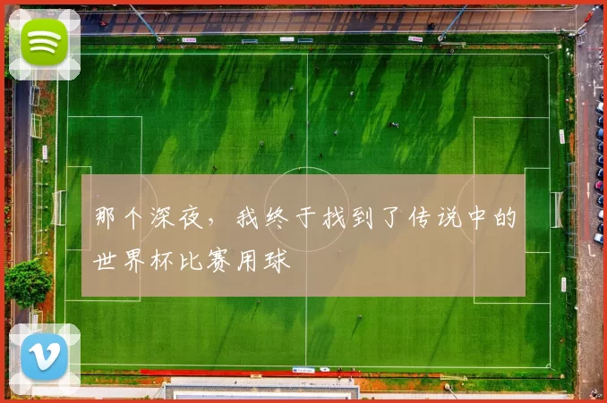 那个深夜，我终于找到了传说中的世界杯比赛用球