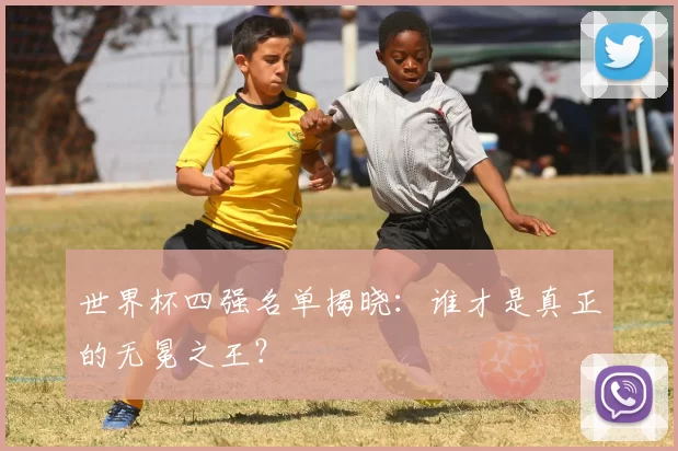 世界杯四强名单揭晓:谁才是真正的无冕之王?