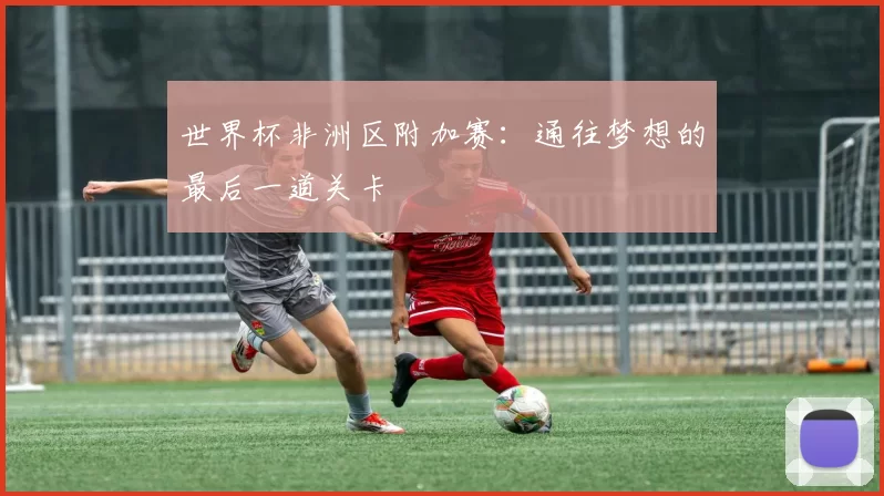 世界杯非洲区附加赛:通往梦想的最后一道关卡