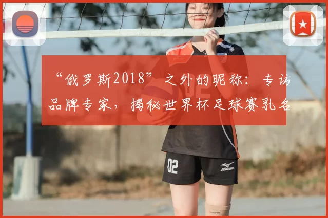 “俄罗斯2018”之外的昵称:专访品牌专家,揭秘世界杯足球赛乳名的传播策略