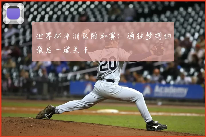世界杯非洲区附加赛:通往梦想的最后一道关卡