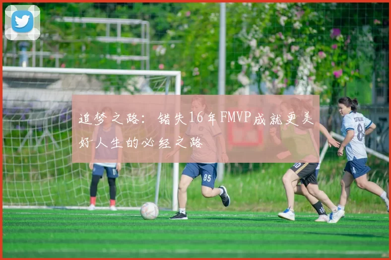 追梦之路:错失16年FMVP成就更美好人生的必经之路