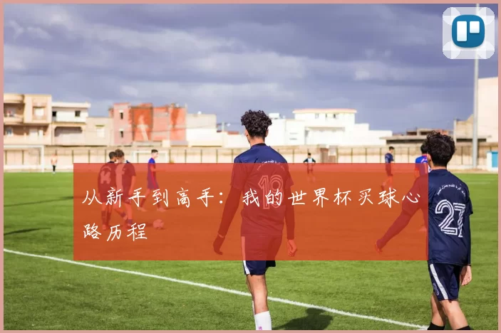 从新手到高手:我的世界杯买球心路历程