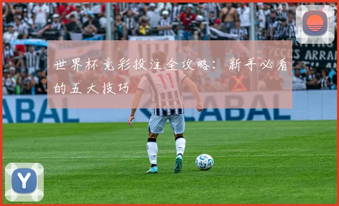 世界杯竞彩投注全攻略：新手必看的五大技巧