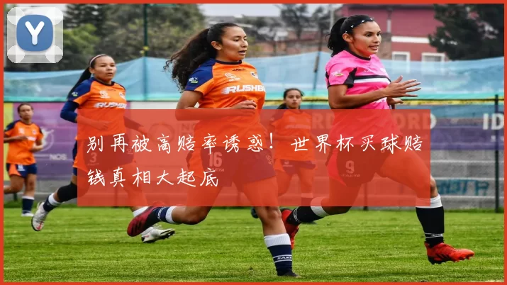别再被高赔率诱惑!世界杯买球赔钱真相大起底
