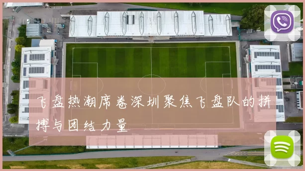 飞盘热潮席卷深圳聚焦飞盘队的拼搏与团结力量