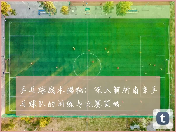 乒乓球战术揭秘：深入解析南京乒乓球队的训练与比赛策略