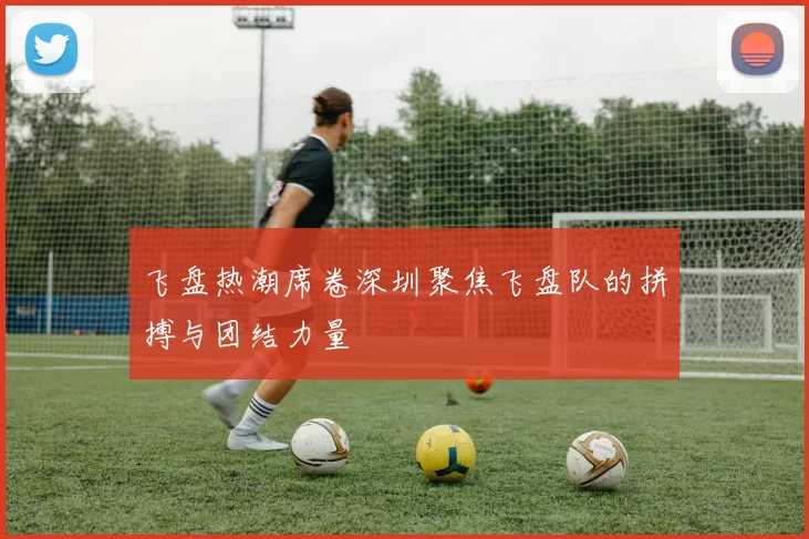 飞盘热潮席卷深圳聚焦飞盘队的拼搏与团结力量